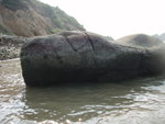 PA077093