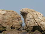 PA077096