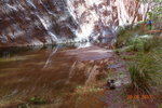 DSCN00446