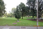 Flagstaff Garden, 是 Melbourne 最古老的公園 DSCN01512