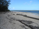 先往右邊沿海邊沙灘走
DSCN01712