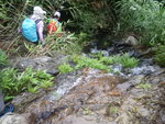 DSCN7738