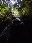 DSCN7742