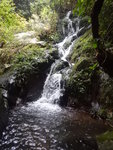 DSCN7746