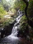 DSCN7747