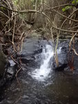 DSCN7749