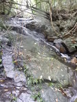 DSCN7750