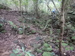 DSCN7764