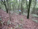 中途左穿林上山往468m山頭 DSCN7766