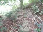 DSCN7769
