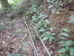 穿林中路左穿右插到水管位
DSCN7770