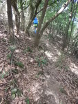 明顯山路
DSCN8021