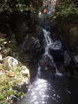 DSCN8035