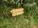 DSCN8535