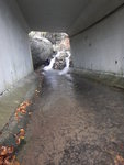 中途穿一地道, 地道頂相信是舊東涌道
DSCN8563
