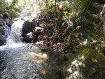 DSCN8835