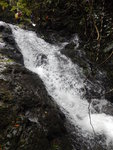 DSCN8848