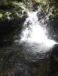 DSCN8853