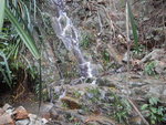 DSCN9124