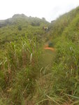 窮源穿草叢上山
DSCN9126