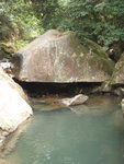 PA177478