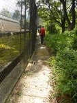 右沿鐵絲網走
DSCN10007