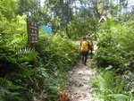 至分岔位左接黃啡藍路
DSCN9993