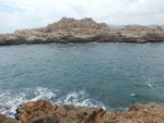 吊鐘排
DSCN0244