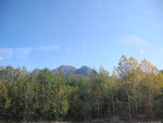 DSC00100