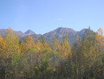 DSC00101