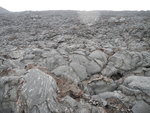 Tolbachik 在 2012 - 2013 爆發流出的火山岩區
DSC00344