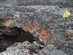 火山岩洞
DSC00394