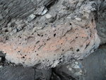 火山岩內好多氣孔
DSC00546