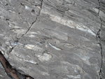 火山岩面不同的礦物
DSC00549