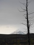 Ostry Tolbachik Volcano
DSC00586