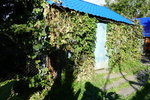 DSC01060