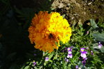 DSC01075