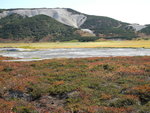 Uzon Caldera (烏宗火山口)
DSC02173