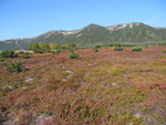 DSC02174