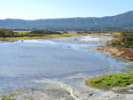 Uzon Caldera (烏宗火山口) 內好多溫泉湖
DSC02180