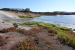 DSC02197