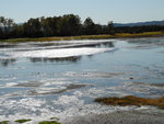 木棧道基本上是沿 氯化湖而建
DSC02203