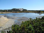 DSC02217