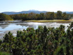 Uzon Caldera (烏宗火山口) 中的氯化湖 , 遠處是 Bolshoy Semyachik
DSC02219