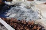 DSC02230