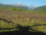DSC02335