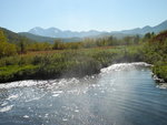 DSC02350