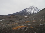 左望 Koryaksky Volcano
DSCN2459