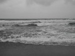 沙灘面對太平洋
DSC02637