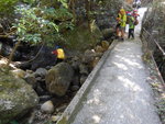 沿法門古道落至枟度橋入澗
DSCN0309